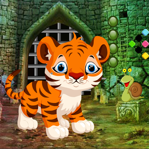 Cute Tiger Cub Rescue Best Escape Game-313