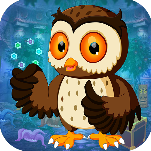 Best Escape Game 428 Night Owl Rescue Game